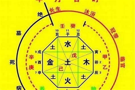 八字 十神 查詢|八字十神测试免费,四柱十神算命免费详批